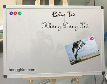 Bảng từ Việt Nam 